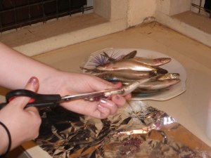 My least favorite part. It's the smelliest.