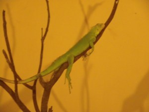 This photo just makes me laugh.