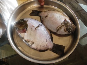 Karimeen BEFORE getting fried up!