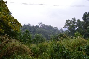 Lovely scenic view on one of our evening walks