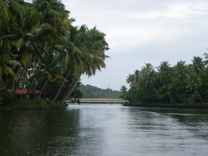 Backwaters