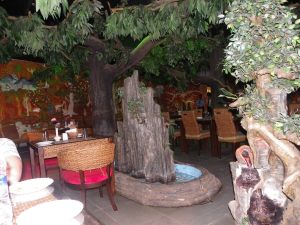 Forest-themed restaurant where we went on a date