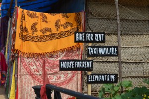 This place looked like a backpacker's paradise. 