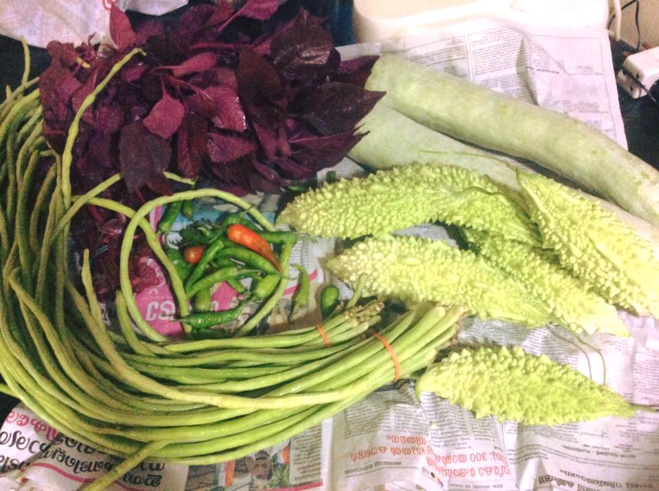 14199146_10100153592466984_8159090014511262630_n