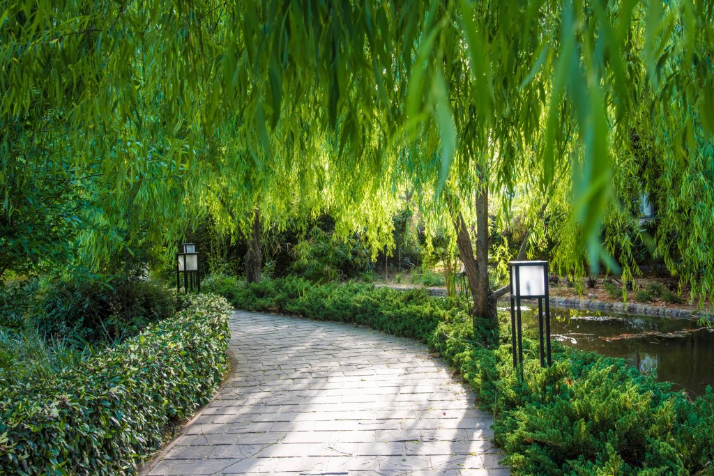Nature walkway from reception to the resort room at The Golden Tusk