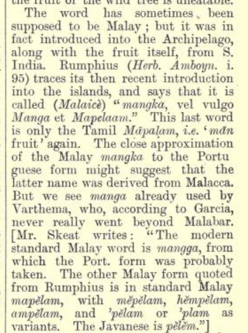 Image from Hobson-Jobson dictionary, describing how "mango" could not have come from Malay but rather from S. India.